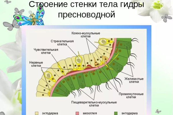 Кракен нарко шоп