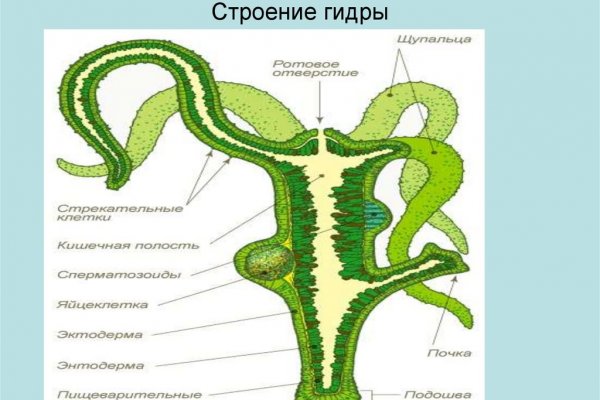 Кракен сайт ссылка онлайн