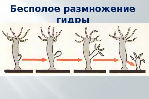 Кракен переходник ссылка