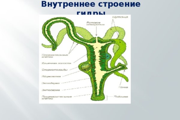 Какая сейчас ссылка на кракен