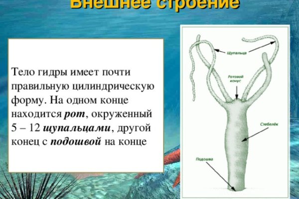 Кракен ссылка официальная