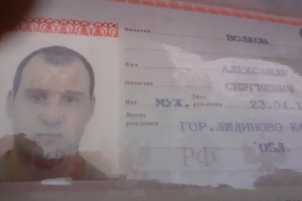 Ссылки тор браузер