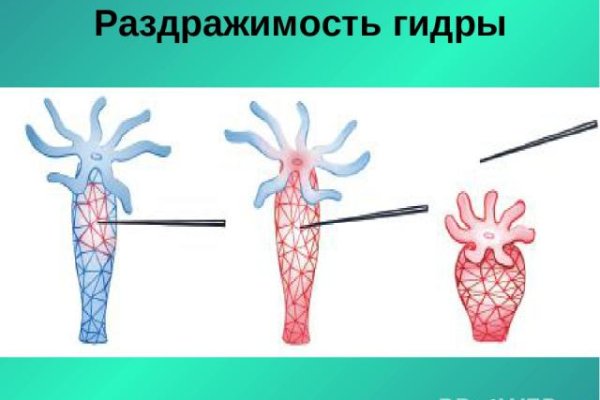 Кракен ссылка на сайт krk store com